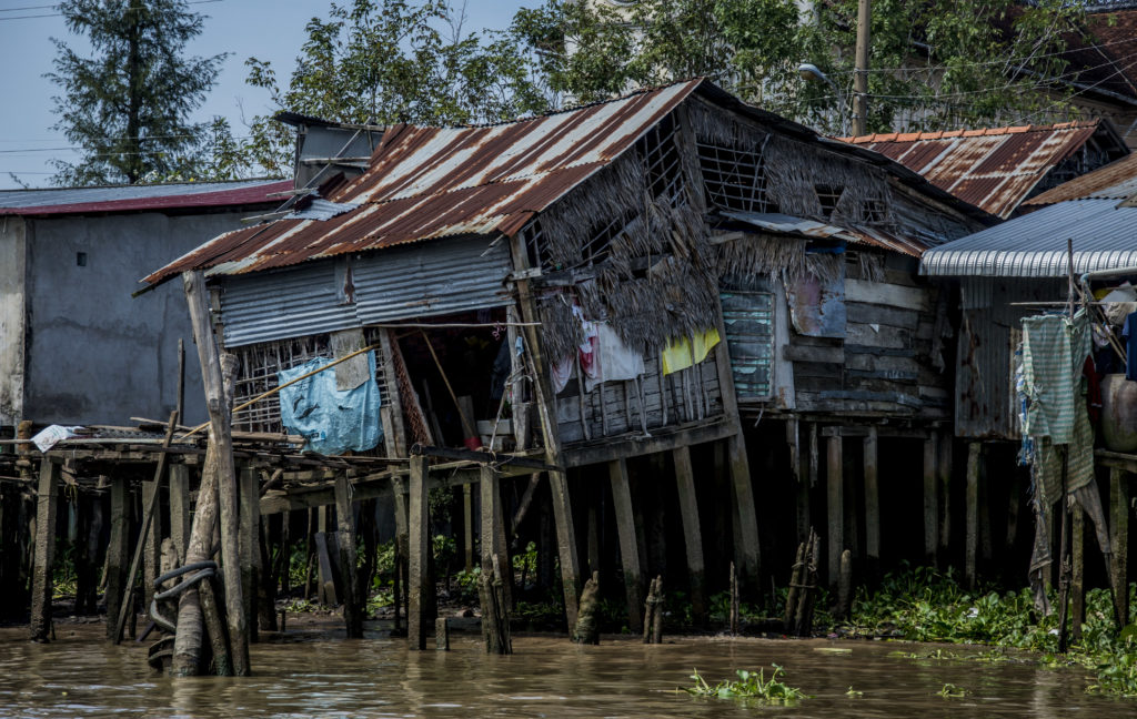 houses in Mekong Delta